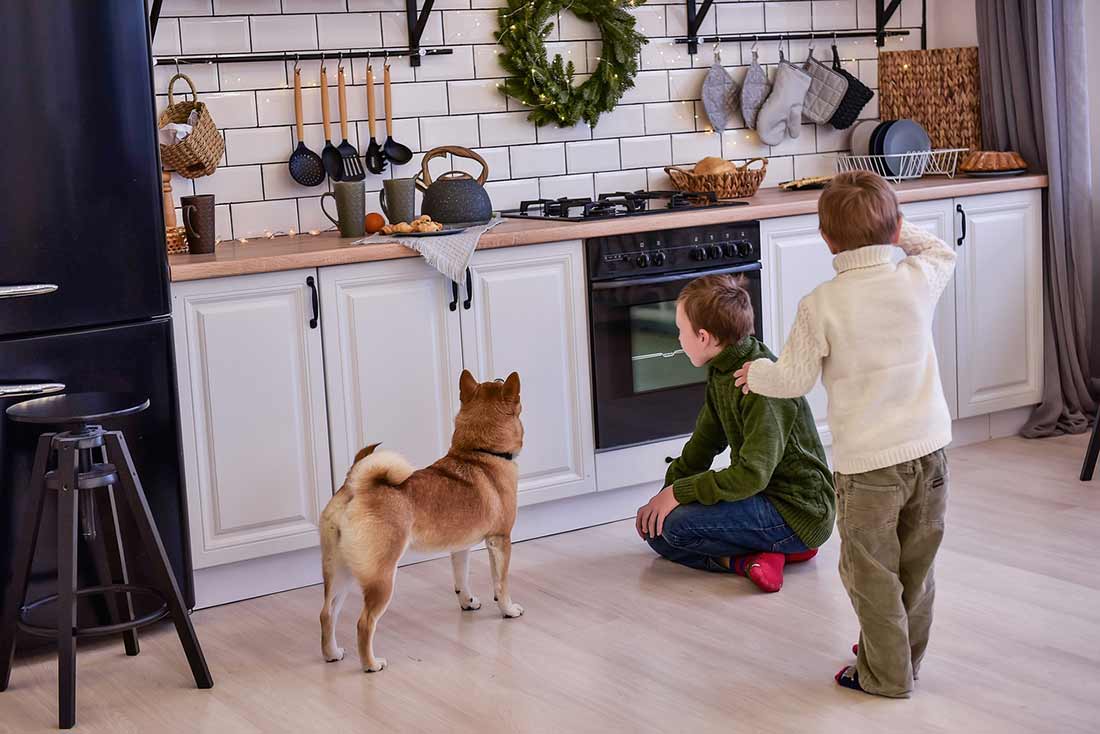 Kitchen for Pet Owners: Things you should think of